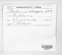Image Associated With the Occurence